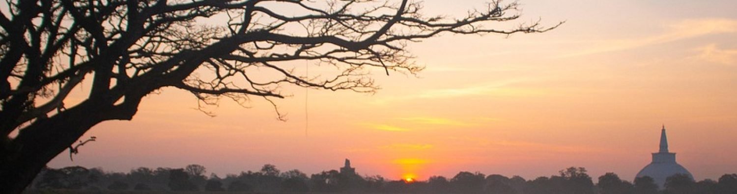 anuradhapura, sunset, lake, sri lanka, evening, ruwanweli maha seya, ruwanwelisaya, nature, landscape, anuradhapura, anuradhapura, anuradhapura, anuradhapura, sri lanka, sri lanka, sri lanka, sri lanka, sri lanka, ruwanwelisaya